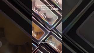 LASHD Lashes Intro Net Worth