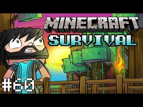 Minecraft : Survival Let's Play - Part 60 - Island In The Sky
