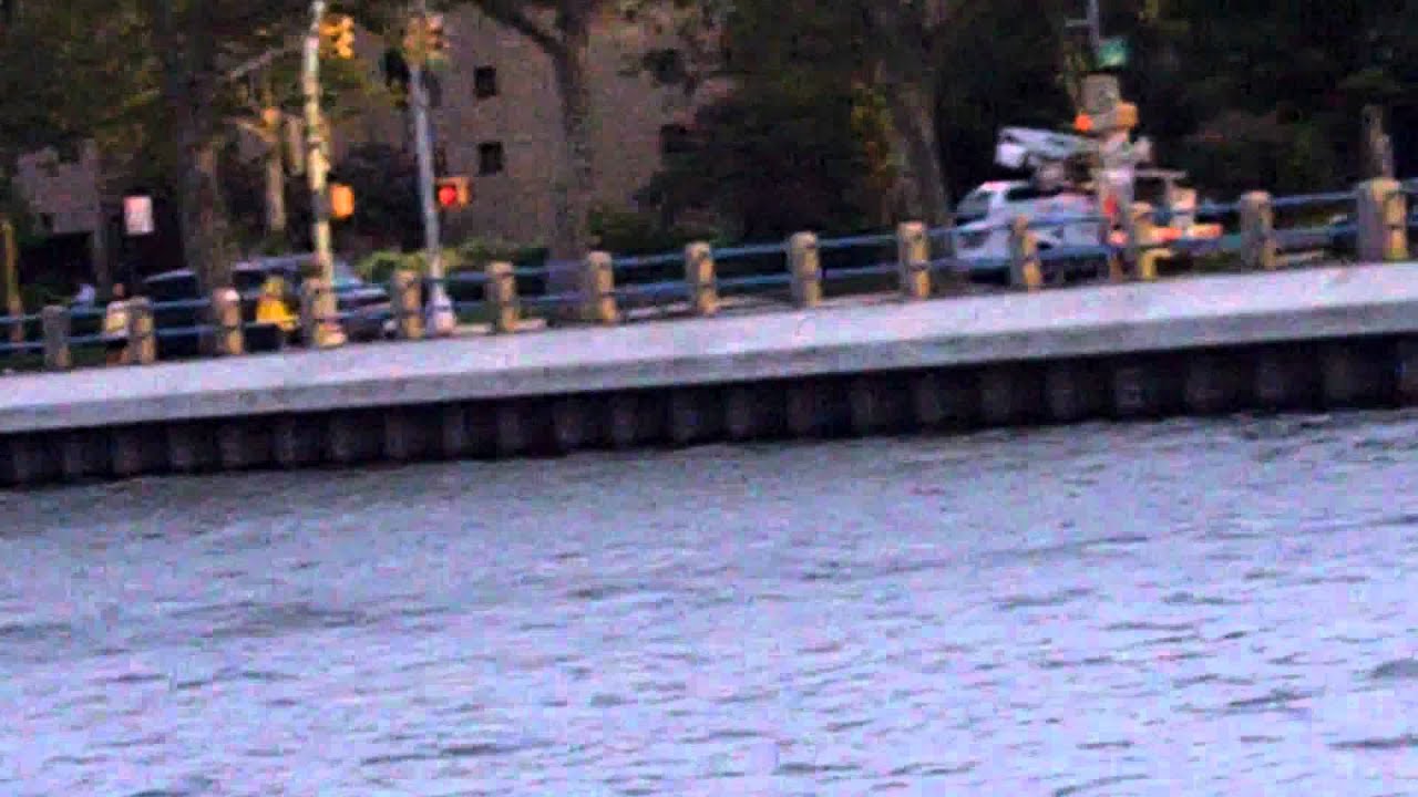 Brooklyn Emmons ave. Bay Next day after hurricane