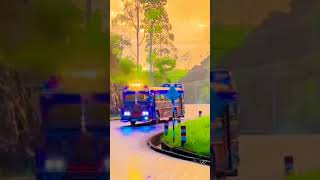 අම්මෝ ඒ පාස් ටික #fire #girl #bus #youtube #short #video #viral #bussid #automobile