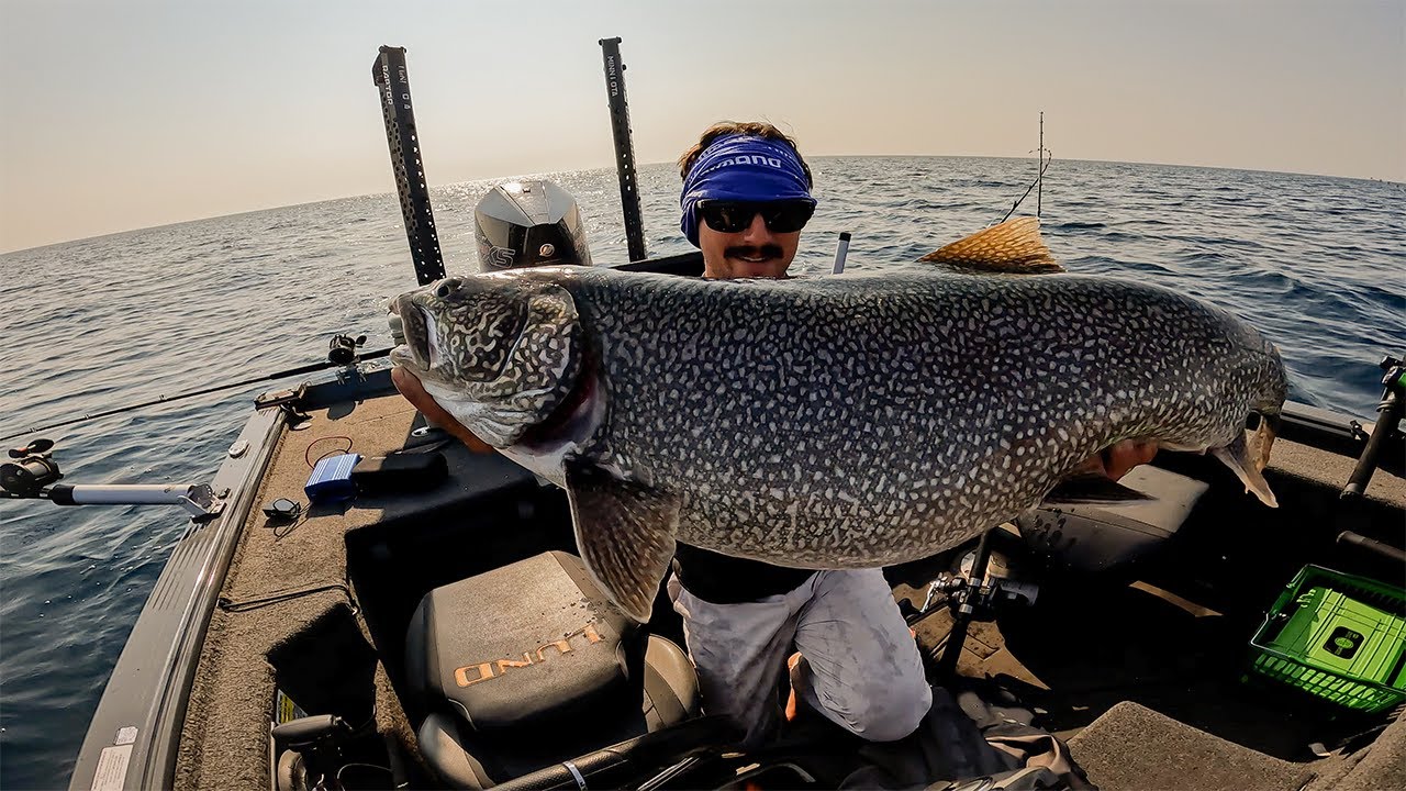 Monster Lake Michigan Trout