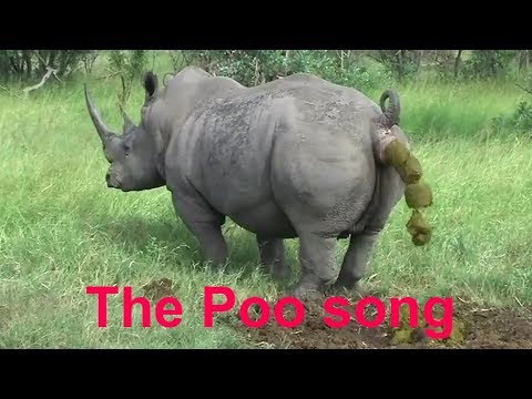 The Poo Song