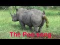 The poo song