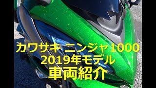 [Ninja1000・ニンジャ1000・Z1000SX] 納車 2019年モデル 車体外観紹介＆オプション製品紹介 [Kawasaki Z1000SX Introduction]