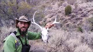 Getting SHED Happy -ep2- ELK SHEDS & DeadHeads