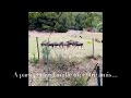 Ref:3TpBbmQF0eU Camping la grange neuve