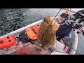 Catching a couple personal bests  halibut fishing  san diego bay