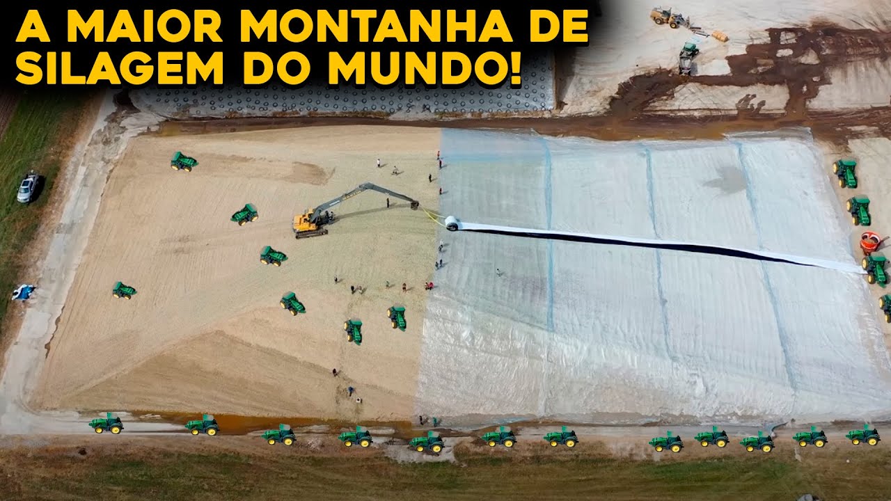 Construindo A Maior Montanha De Silagem Do Mundo