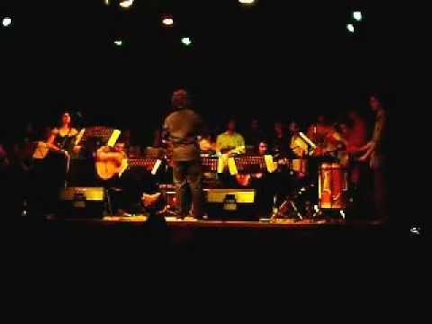 CANCIONES SALVAJES "El Insecto "