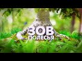 Зов Полесья 2020_видеофильм о фестивале и нац парке "Припятский"