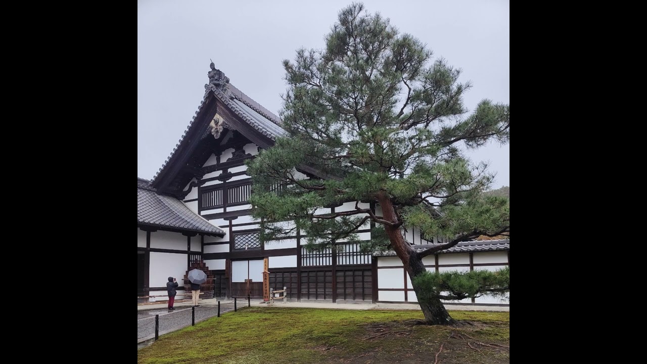 Golden Pavilion KYOTO
