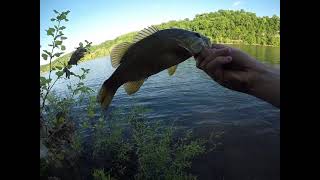 Smallmouth Fishing In High Waters