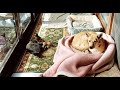 保護して3ヶ月。日中は こうして過ごしてるようです。