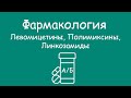 Фарма. Левомицетины, Полимиксины, Линкозамиды