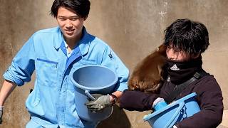 Latest Update Big Crowd Watching Punch U0026 Dad This Is Why