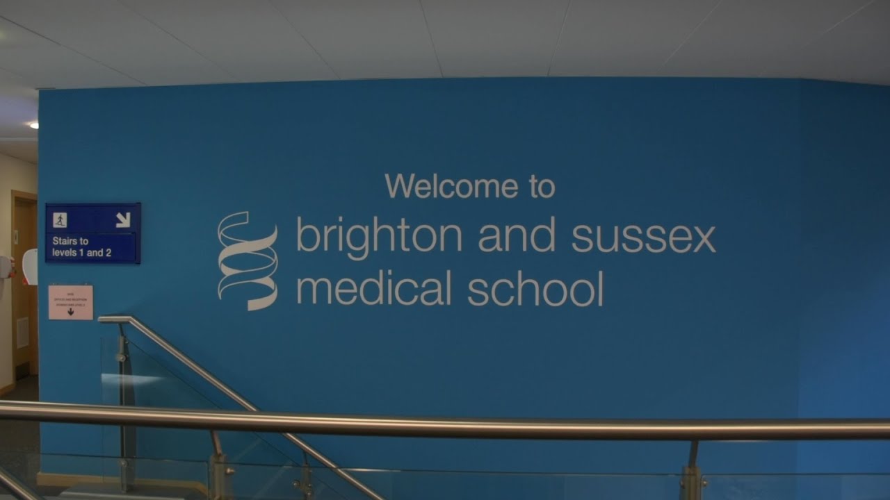 Brighton And Sussex Medical School BSMS Campus Tour YouTube Brighton And Sussex Medical School BSMS Campus Tour YouTube