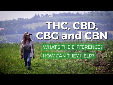 Marijuana THC vs CBD, CBG, CBN: What’s the difference? What are health benefits of each?