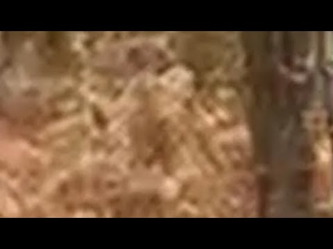 You Won't Believe What's In The Kensley Leak