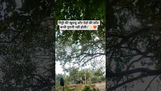 #song #bollywood #travel #click #nature #ghummakad #automobile