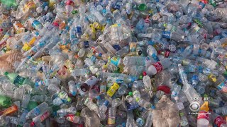 Challenge Aims To Encourage Colorado Students To Recycle