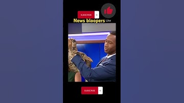 News bloopers #fails #embarassing