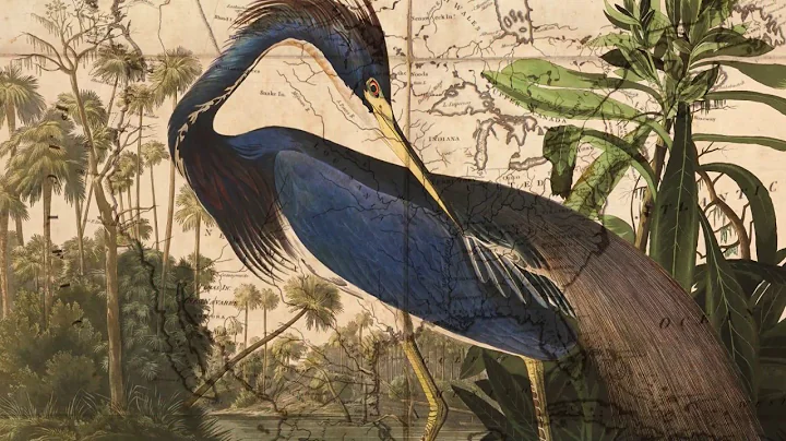The Travels of John James Audubon