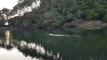 NQD PX-16 brushless upgrade with FT012 parts experimental first test