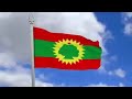 Sabboonaa Tafarraa New Oromo Music 2022 W B O WaliinAni Lola Kajele 