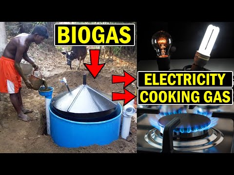 घर पर बायोगैस संयंत्र से बिजली कैसे उत्पन्न करें| गोबर गैस के साथ गाय के गोबर से बिजली