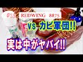 19　RED WING 8875　レッドウィング　vs カビ軍団　実は中がヤバイ！！