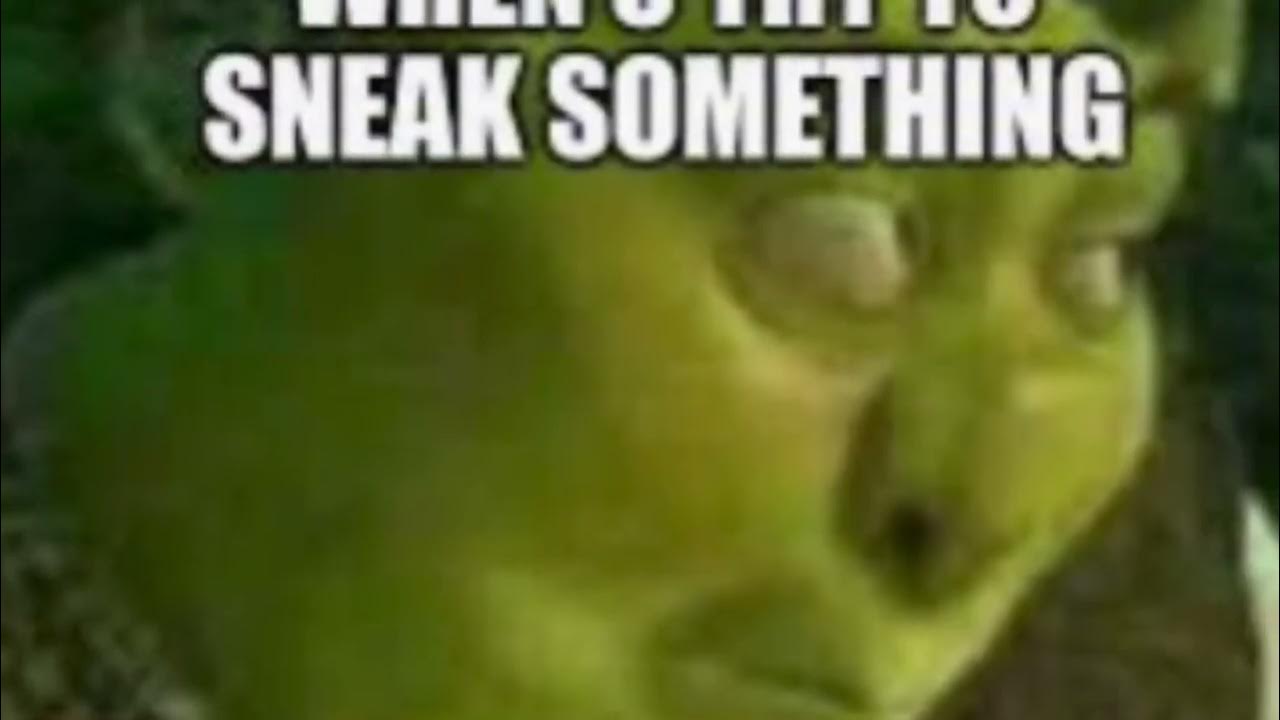 Goofy ahh shrek memes - YouTube