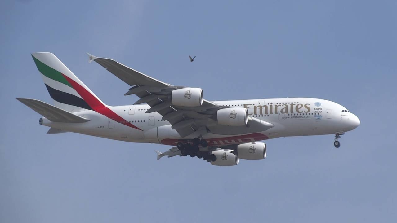 Emirates Airbus A380 861 Aircraft A6 EEH Emergency Landing At CSIA emirates-airbus-a380-861-aircraft-a6-eeh-emergency-landing-at-csia