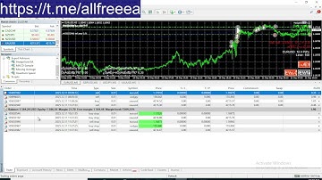 🤯50% Profit in 4 Days?! HedgeGold MT4 EA Real Forex Results📈💸 HedgeGold MT4 EA  Forex Robot Download
