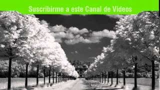 Video thumbnail of "A Quien Ire Señor   Chuy Mariscal   Casa de Oracion Guadalajara"