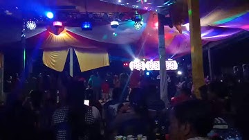 Ot Goldenstar desa pulawan