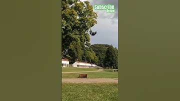 All new ARRMA OUTCAST 8s EXB rtr going BIG🚀HUGE backflips #rc #arrma #rccar #shorts