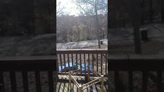 Tornado Siren from Tik Tok