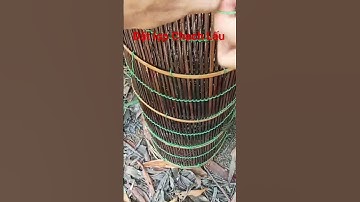 Đặt cá chạch, Cách Đặt Lợp Cá Chạch Lấu Nhạy Dính #datlopcachach #datlopcachachlau #lopcachach