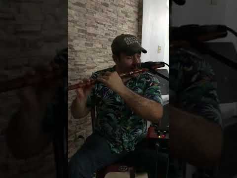 Dizi, Flute and Saxophone Jazz