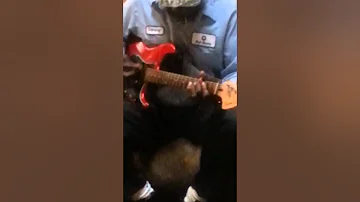 The Louisiana blues guitar