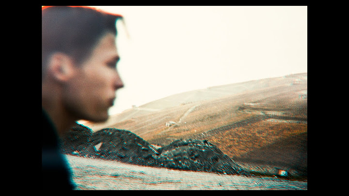 The Platypi - Take Me To Iceland