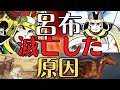 【悲惨な末路】呂布が滅びた理由！裏切りと悲しき最後の歴史！三国志解説！