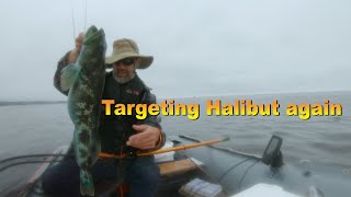 Targeting Halibut again... Lingcod limit? 7-19-2020