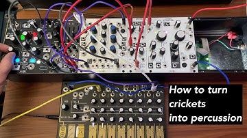 How to turn crickets into percussion eurorack Make Noise Morphagene