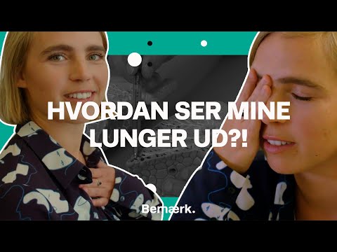 Video: Der Var Uventet Mange Raske Celler I Lungerne Hos Tidligere Rygere - Alternativ Visning