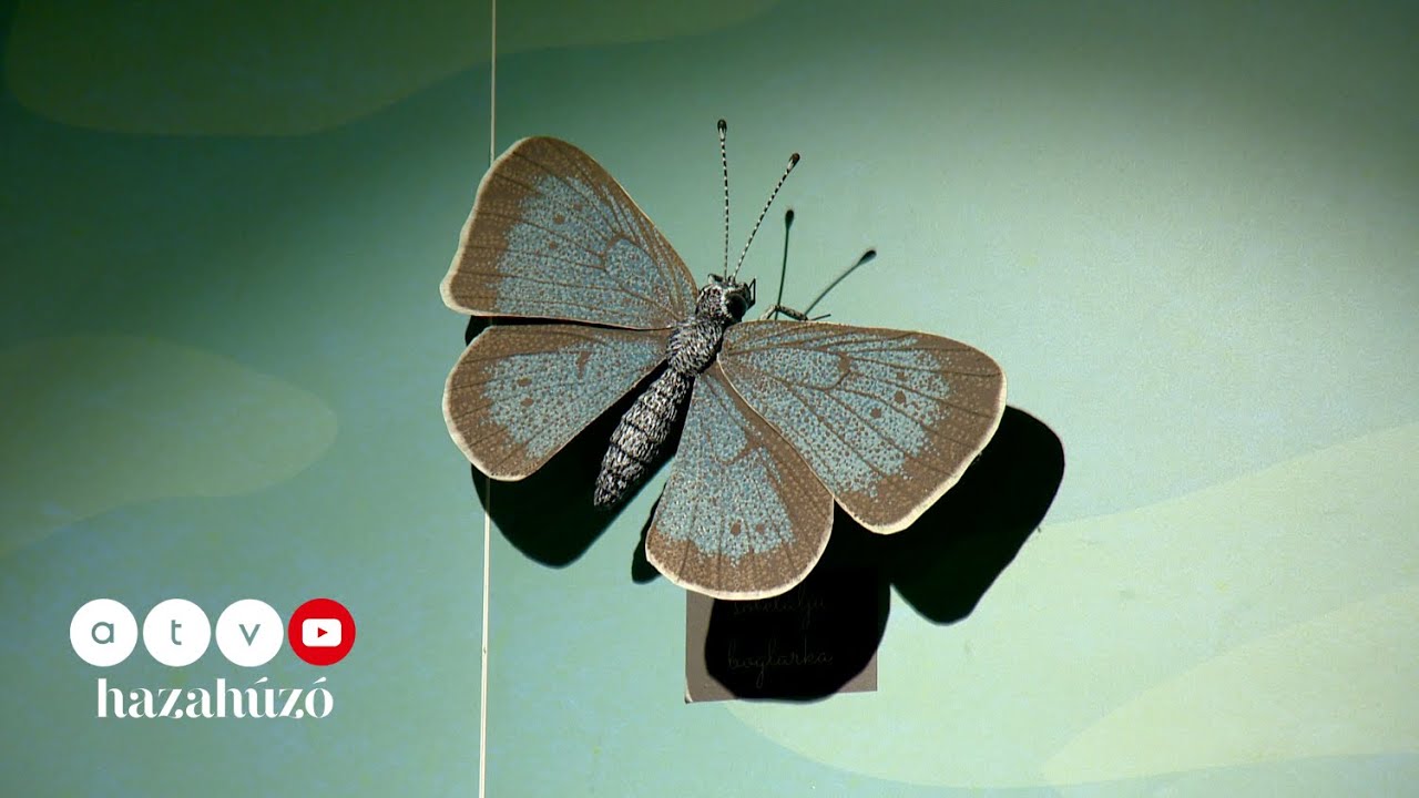 HAZAHÚZÓ – Az Őrségi Nemzeti Park