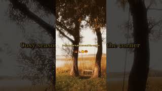 Autumn Fall Cosy Aesthetic, Peaceful, Calming, Nostalgia
