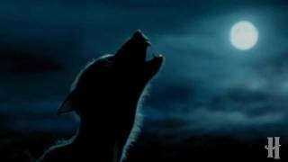 Remus+Caroline (AU) | Shadow Of Me Trailer