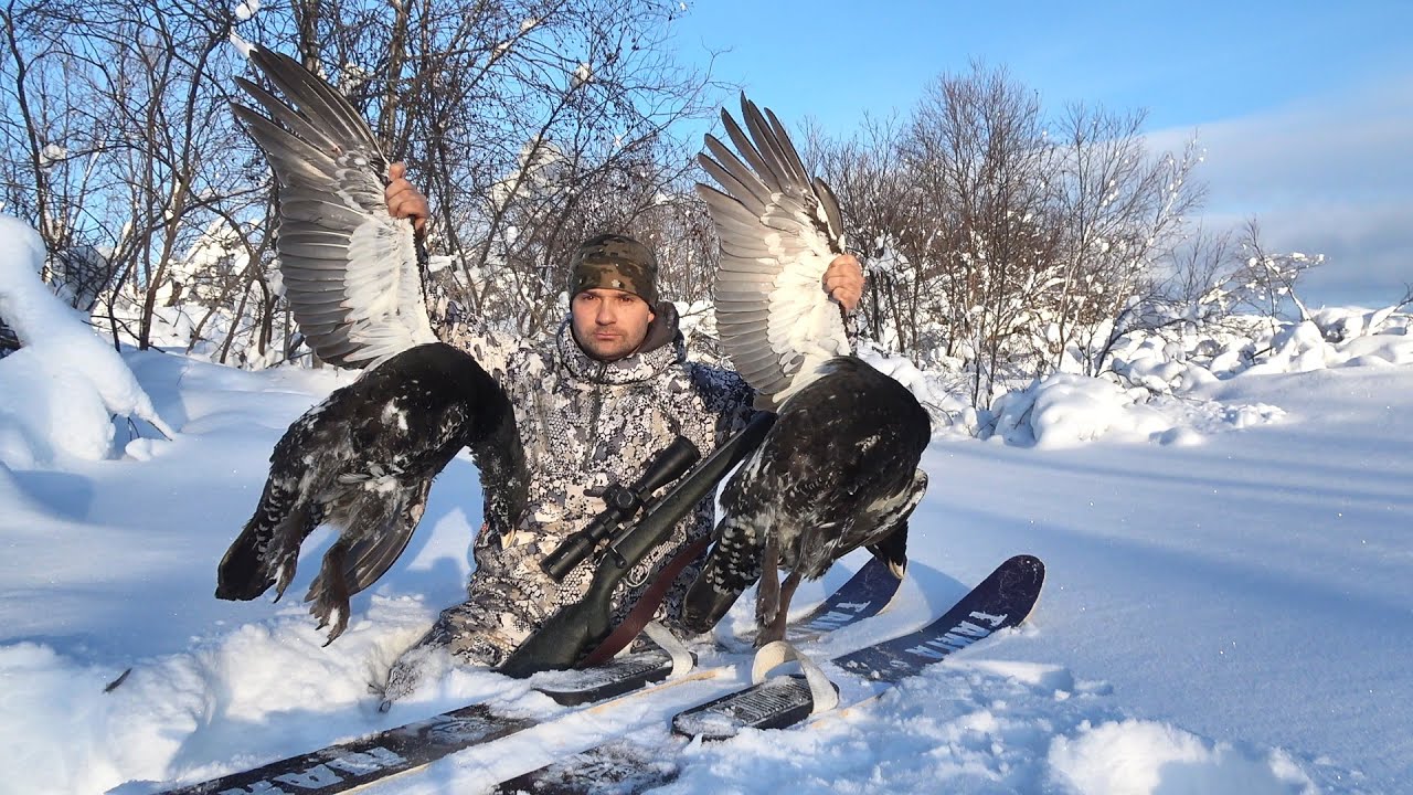 ОХОТА НА ГЛУХАРЯ ЗИМОЙ С МЕЛКАШКИ. ЭТО УДАЧНО Я ЗАШЕЛ В КУСТЫ. НАШЕЛ ПТИЦ ТАМ, ГДЕ БЫ И НЕ ПОДУМАЛ.