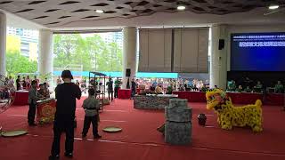 30th Ngee Ann City National Lion Dance Championships 2026 Wen Yang Sports Association (Singapore)